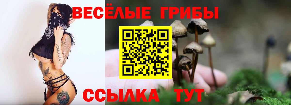Меф мяу мяу Елизово